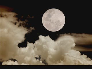 Fckd up mind Experimental