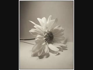 Men and Women in Islam 6