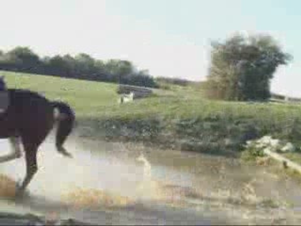 Cross Magic et Manon.