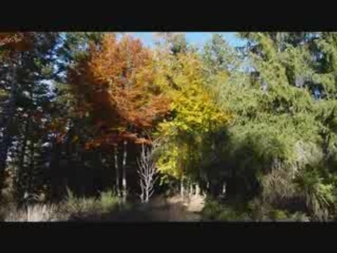 Paysage Automnal de la Haute-Loire le 30 octobre 2009