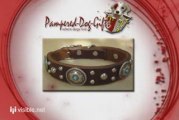 Pampered Dog Gifts - Pet Gift Boutique