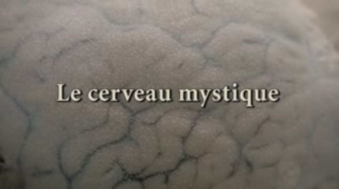 Le Cerveau Mystique [1]
