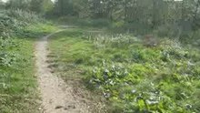 Naar de splitsing in Uithoorn