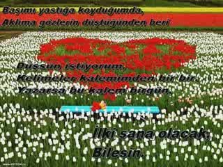 Atilla Kaya Seni Sevmek