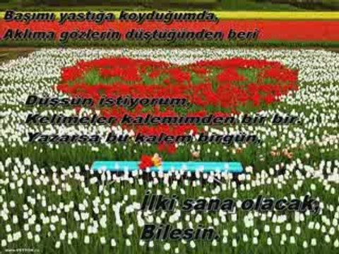 Atilla Kaya Seni Sevmek