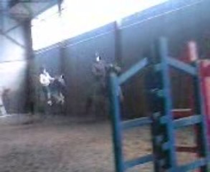 Débourage des koniks