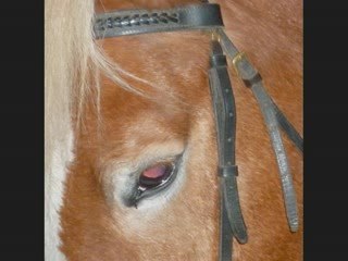 aprem du 29 oct 2009