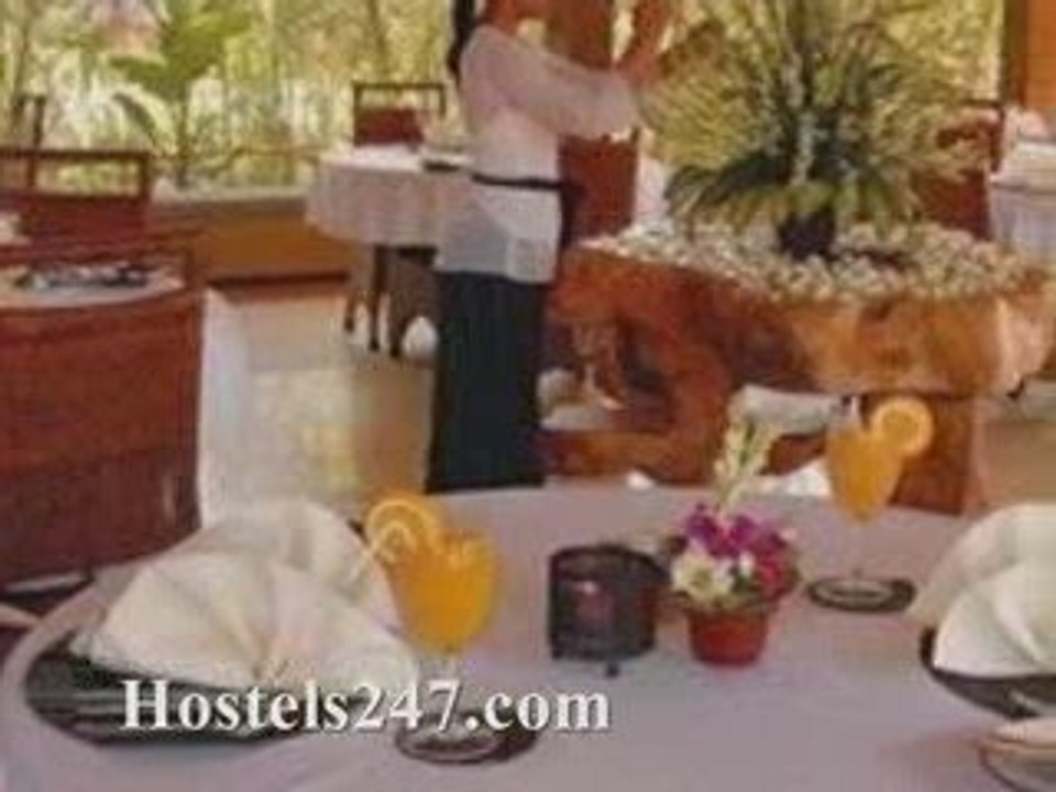 Bali Hostels Video from Hostels247.com-Jungle Resort & Spa