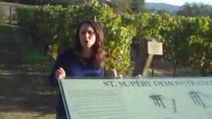 Libby Gill at the Winery - Part 5