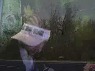 care act tour rizing feat nutrient realities