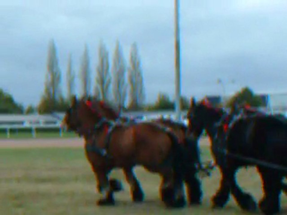 LISIEUX -CAI oct. 2009- sortie du dressage Sebastien Vincent