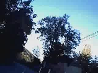 GENDY46 HONDA RC42 750 SEVEN FIFTY Duo MONTBRUN FRONTENAC