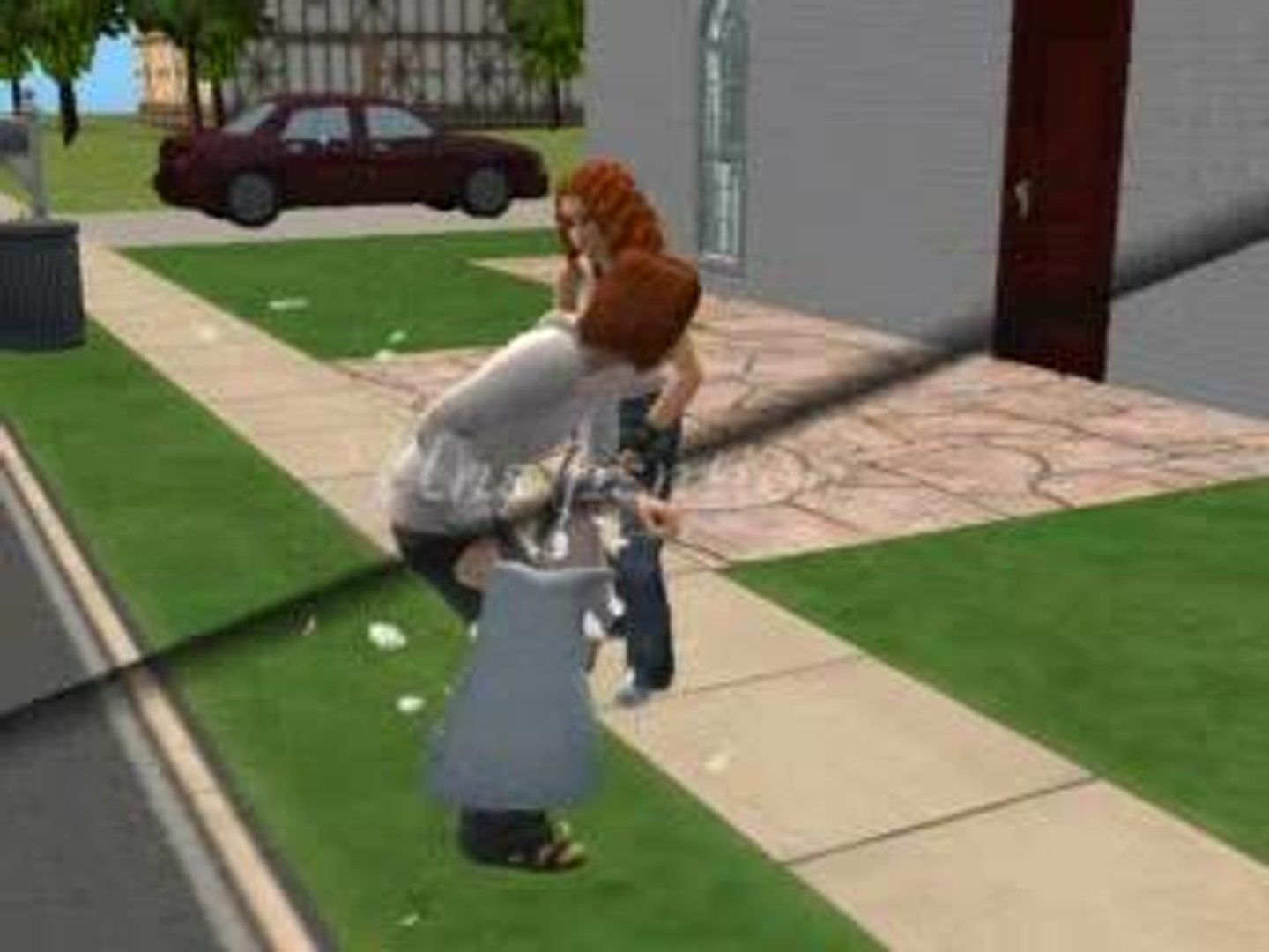 Histoire de sims