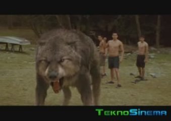 Alacakaranlık Efsanesi: Yeni Ay Kurt Sahnesi(Kamera Arkası)