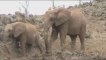 Kenya-Tsavo-Elephants