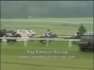 free horse racing selections