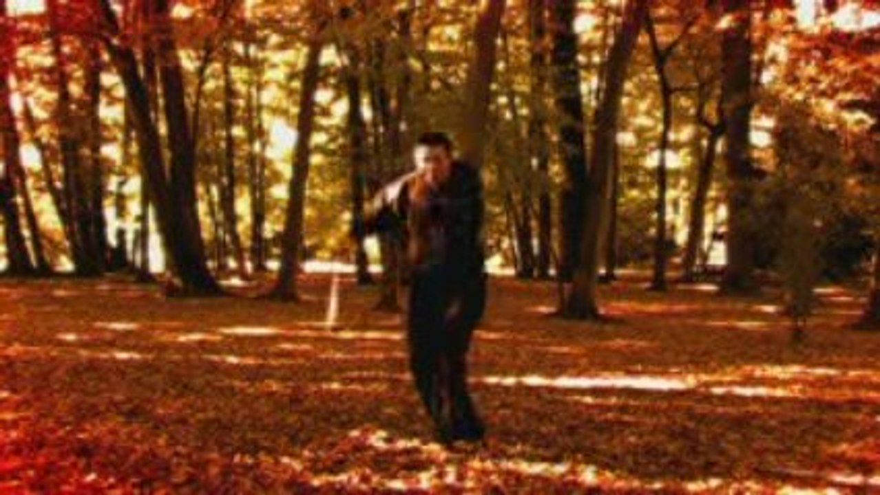 kungfu_taichi_eric_bourbonnais_nancy(54).avi