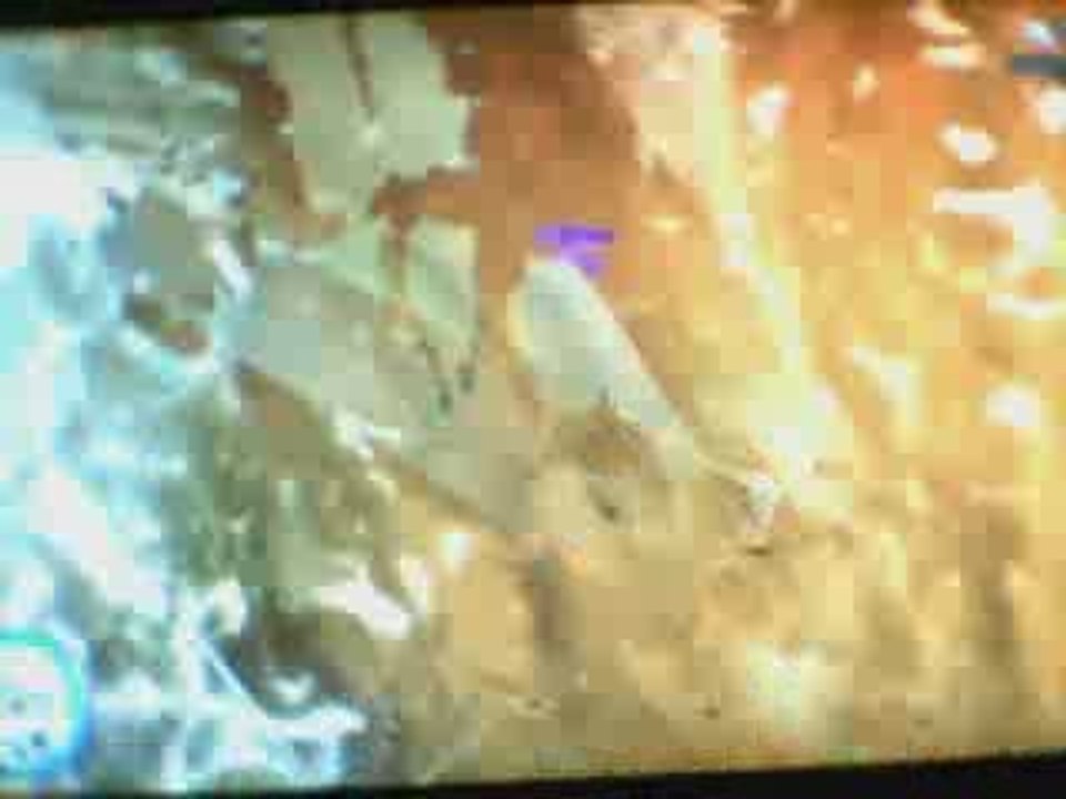 Bug de Balançoire Tueuse à GTA4