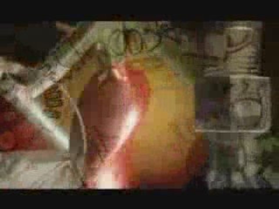 markus schulz ibiza summer