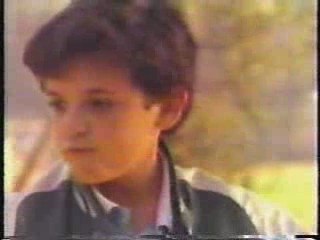 The Wonder Years / Columpio