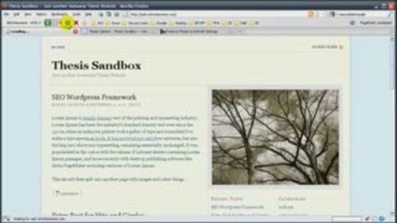 Thesis Video Review: Thesis Theme v1.6 for Wordpress