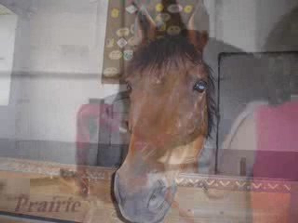 Cem en force
