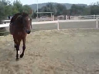 sceance rond de longe