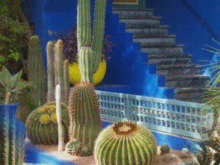 Vacances 2009 Marrakech