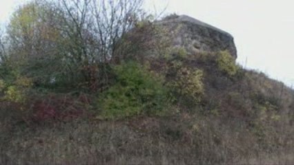 LPV automne WMV1080p