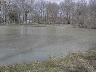 etang communal de lailly en val