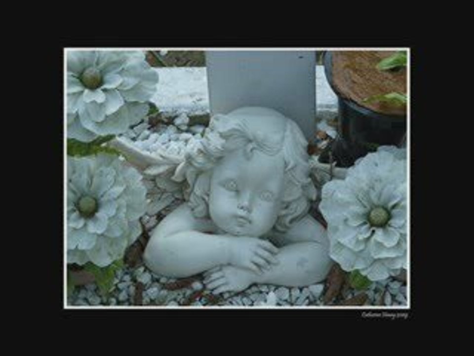 A la découverte du Cimetière du Sud de Tournai