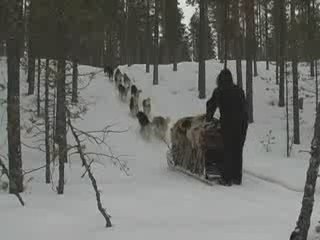 Oumiaks sled expedition Karelia 2009