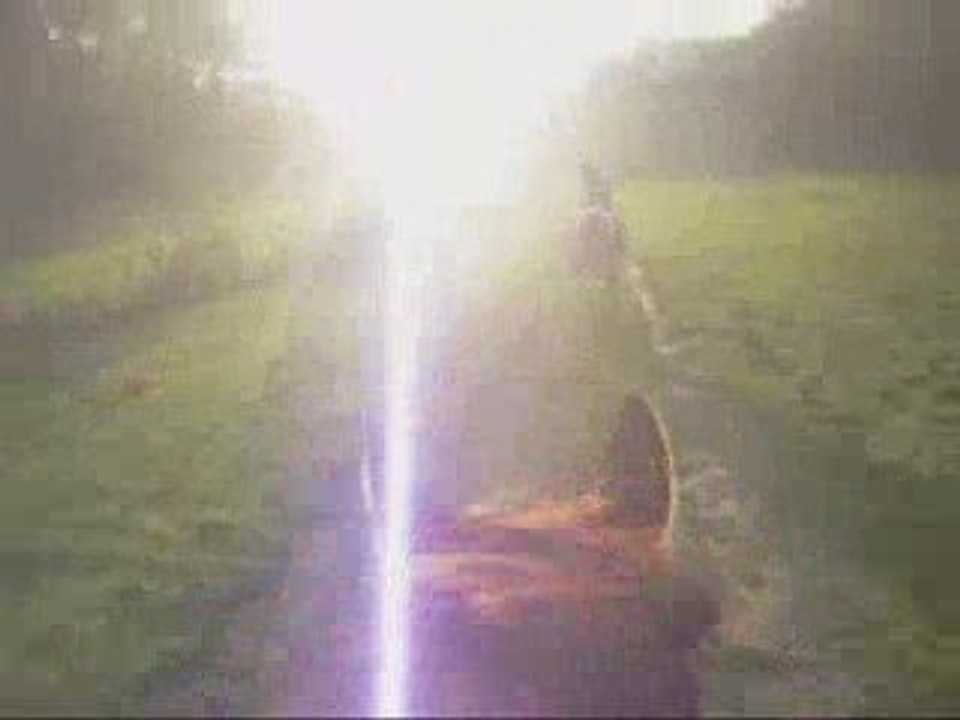 Course Trottzouille versus Trakehner Hanovrienne