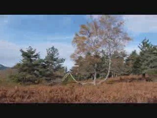 Paysage Automnal de la Haute-Loire le 31 octobre 2009