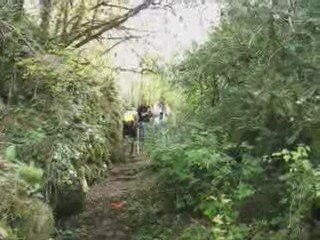 Templiers 2009
