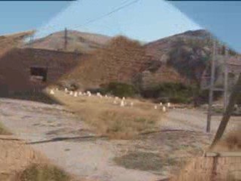 Klip:  Basindaki Yazmayi Sariyami Boyadin