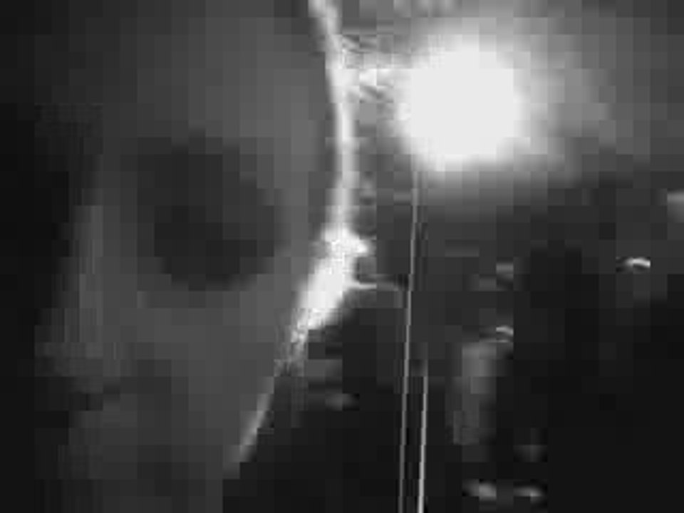kiss off @ le tigre (paris)