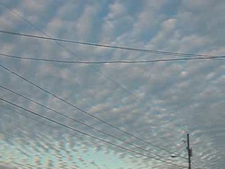 Lundi 26 octobre 09 vaccination: chemtrails comme adjuvants