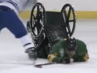 °¤L'incroyable histoire de Brendan Laroux¤°