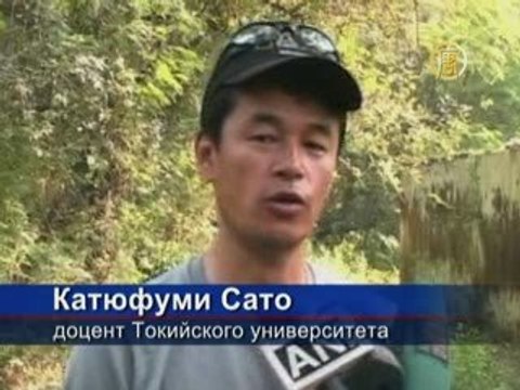 Индийские ученые хотят спасти гавиала от исчезновения