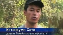 Индийские ученые хотят спасти гавиала от исчезновения