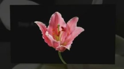 How To Stop A Panic Attack Quickly And Easily