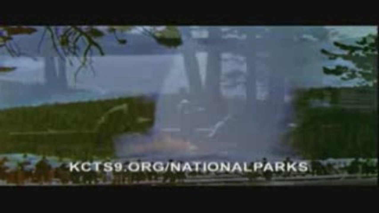 National Parks: Share your Story