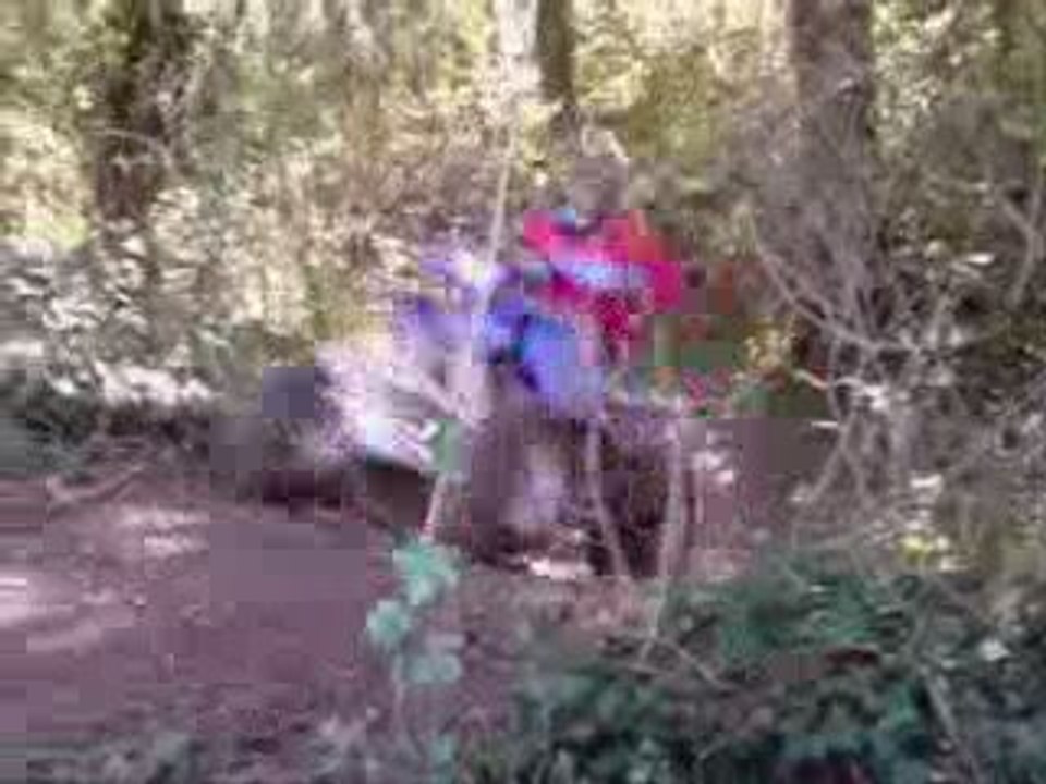 200 blaster 2001 vs 20 blaster 2005