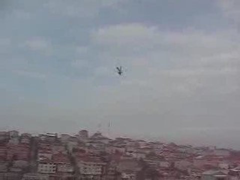 Mavi Güvercin Taklacı-2 (Eke kuş) iniş