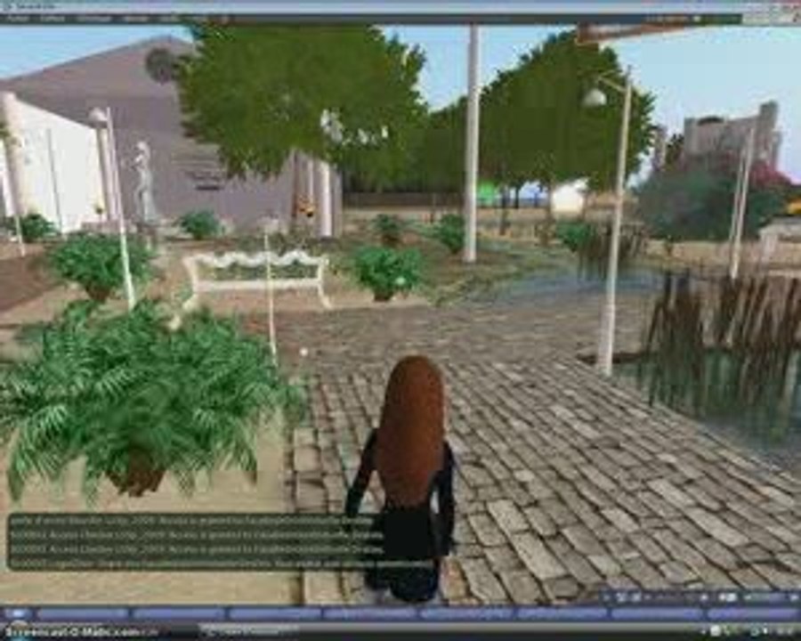 FDV dans Second Life