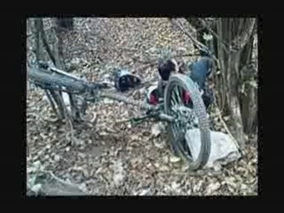 popof aime les arbres