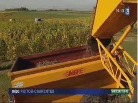 vendanges tardives...
