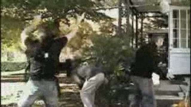 Wes Anderson * Fantastic Mr. Fox * RealTVfilms