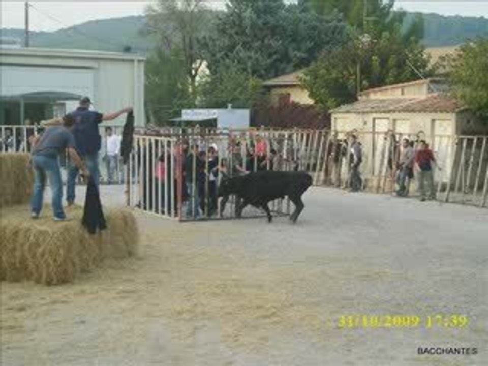 encierro a caveirac manade labourayre 31 10 09
